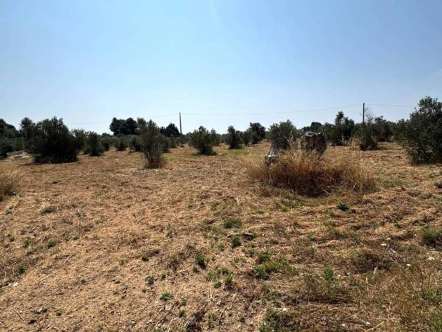 Terreno in vendita a Puglia, Lecce