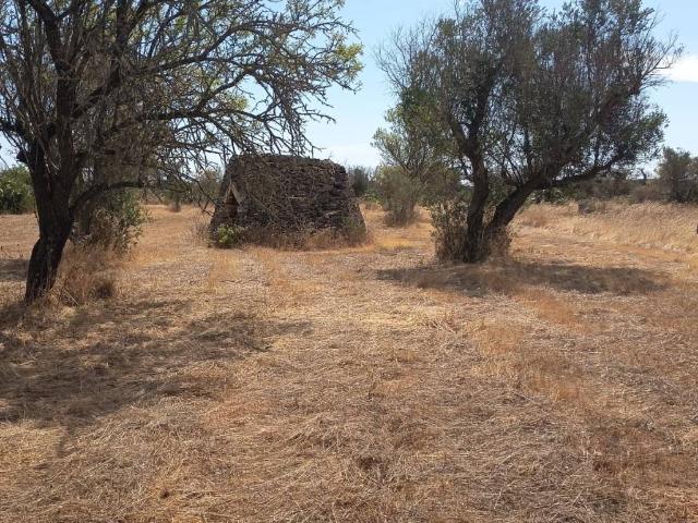 Terreno in vendita a Puglia, Lecce