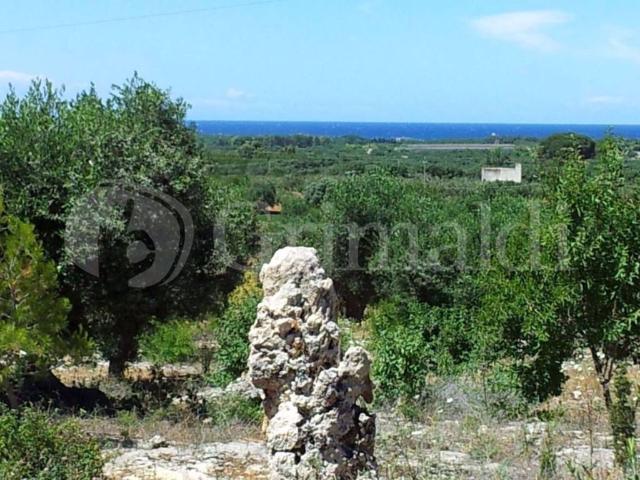 Terreno in vendita a Chiesanuova, Puglia