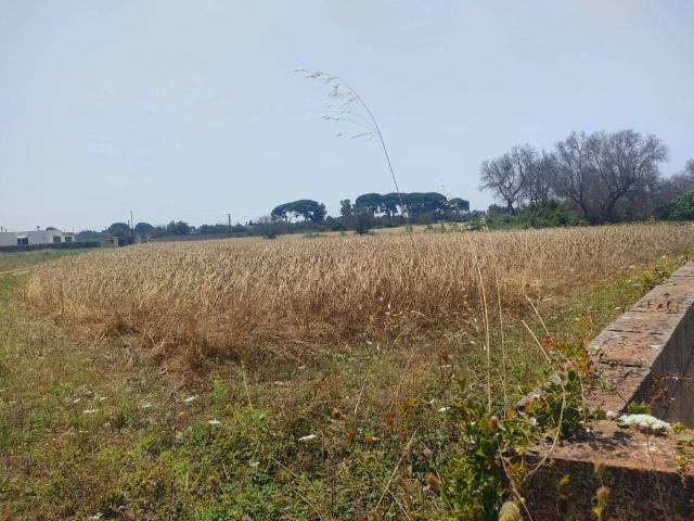 Terreno in vendita a Puglia, Lecce
