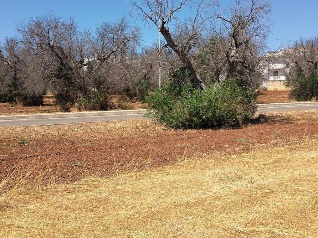 Terreno in vendita a Puglia, Lecce