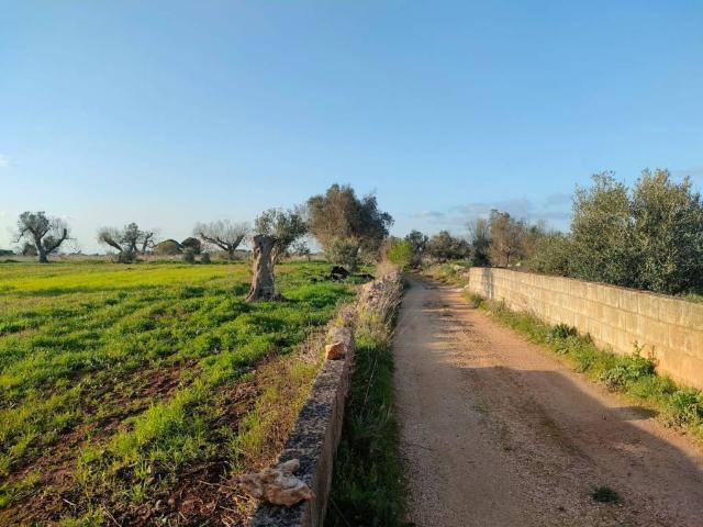 Terreno in vendita a Puglia, Lecce
