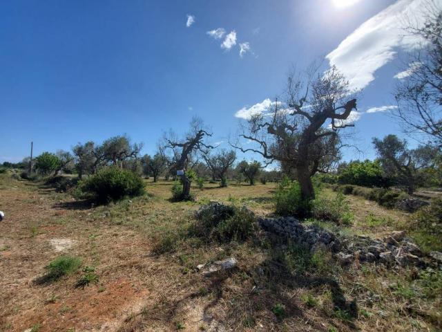 Terreno in vendita a Puglia, Lecce