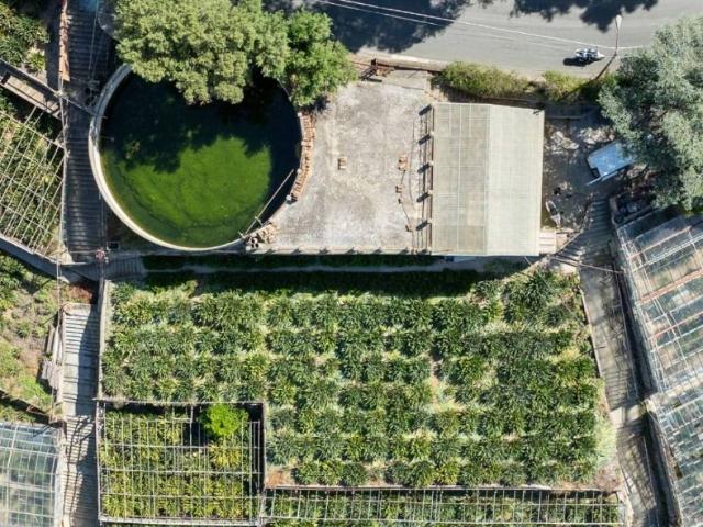 Terreno in vendita a San Remo, Liguria