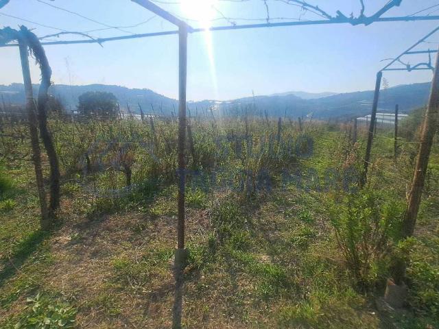 Terreno in vendita a San Remo, Liguria