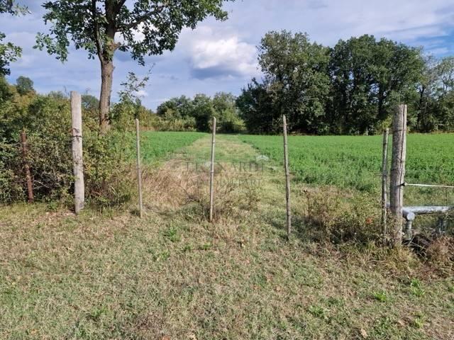 Terreno in vendita a Gragnano, Sansepolcro