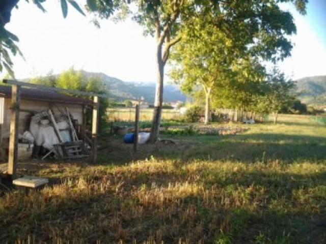 Terreno in vendita a Sansepolcro, Toscana
