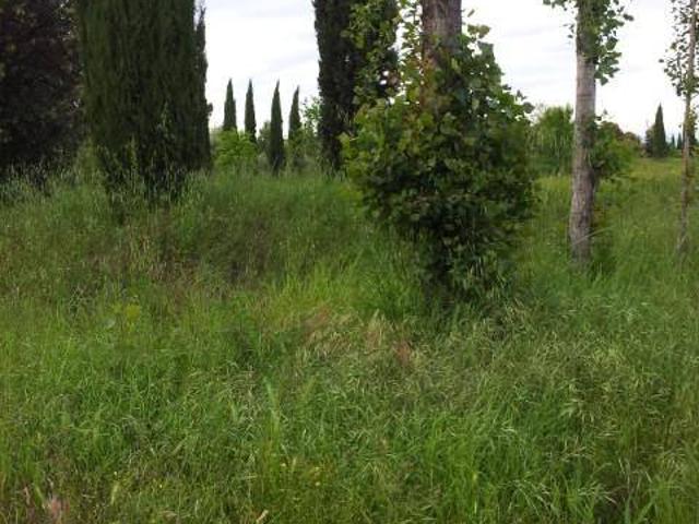 Terreno in vendita a Santa Croce Sull'arno, Toscana