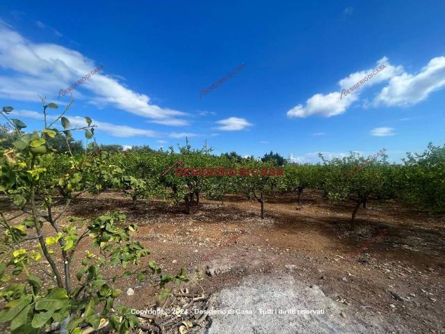 Terreno in vendita a Santa Flavia, Sicilia