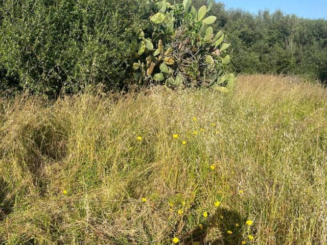 Terreno in vendita a Santa Flavia, Sicilia