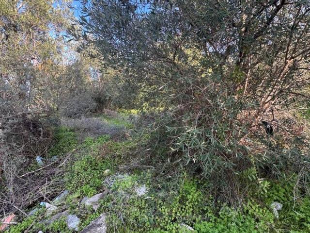 Terreno in vendita a Santa Flavia, Sicilia