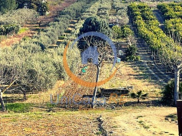 Terreno in vendita a Santa Flavia, Sicilia