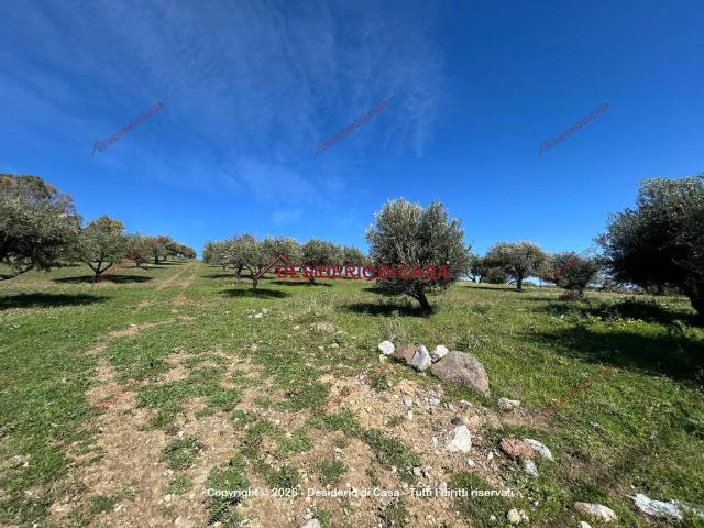 Terreno in vendita a Santa Flavia, Sicilia