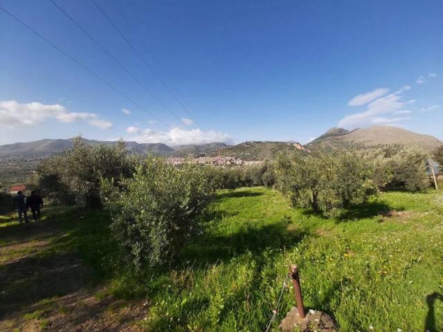 Terreno in vendita a Bagheria, Sicilia