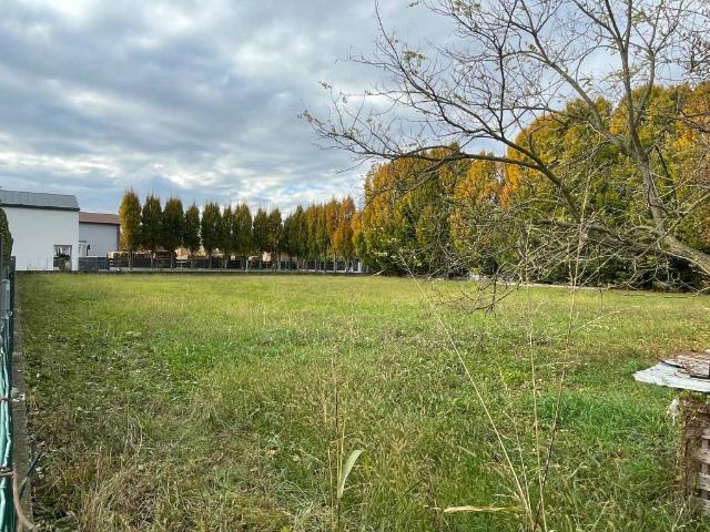 Terreno in vendita a Santa Giustina In Colle, Veneto