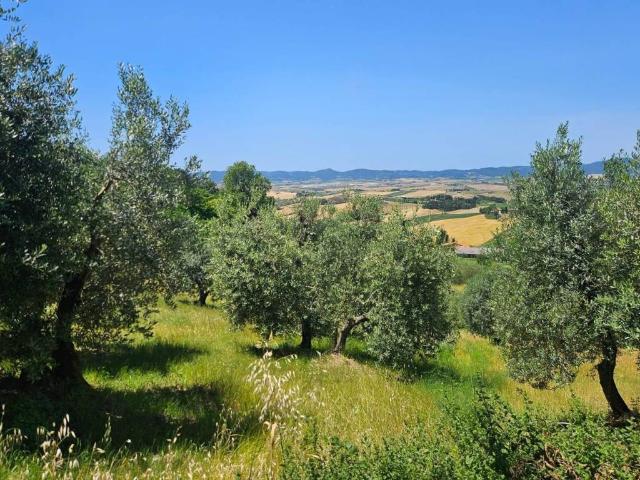 Terreno in vendita a Santa Luce, Toscana