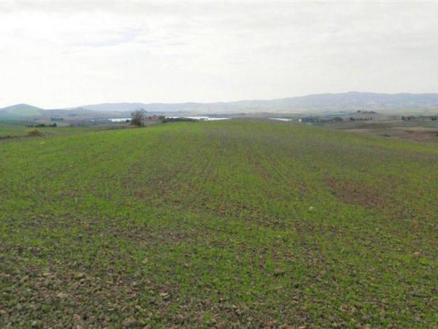Terreno in vendita a Santa Luce, Toscana