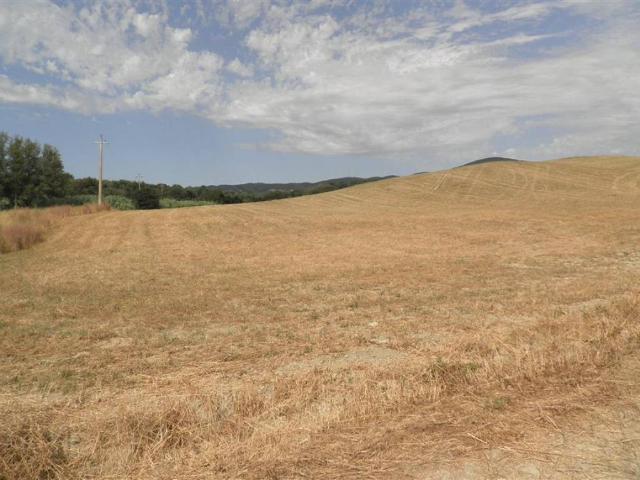 Terreno in vendita a Santa Luce, Toscana