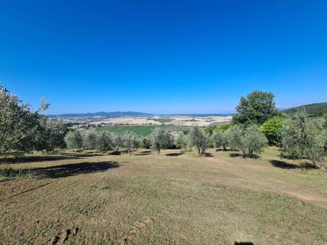 Terreno in vendita a Santa Luce, Toscana
