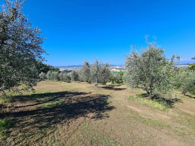 Terreno in vendita a Santa Luce, Toscana