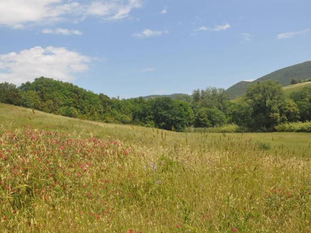 Terreno in vendita a Santa Luce, Toscana