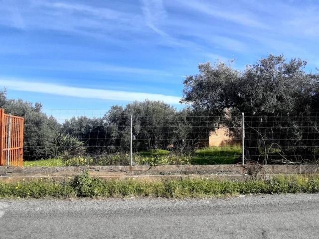 Terreno in vendita a Santa Lucia Di, Sicilia
