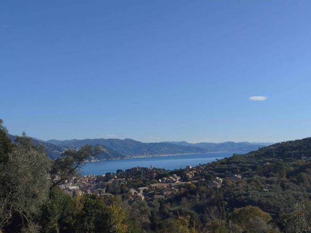 Terreno in vendita a San Lorenzo della Costa, San Lorenzo Della Costa