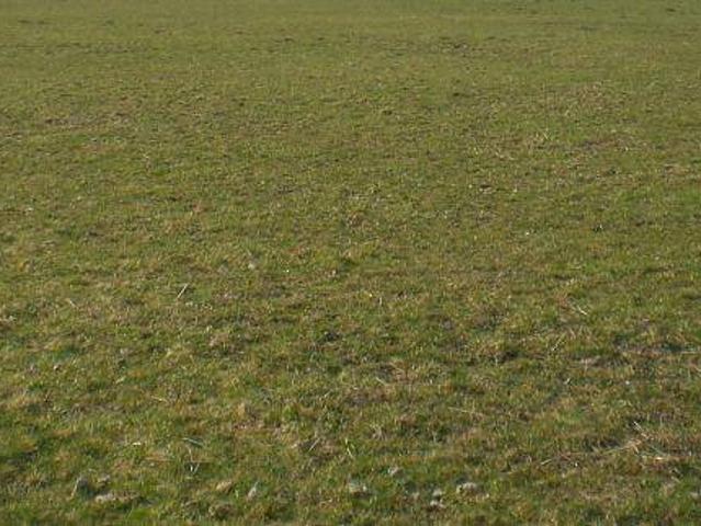 Terreno in vendita a San Donato, Santa Maria A Monte