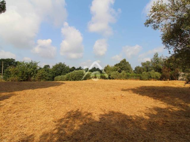 Terreno in vendita a Santa Maria A Monte, Toscana