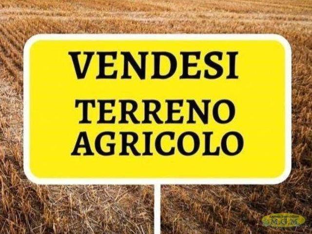 Terreno in vendita a Santa Maria a Monte, Pisa