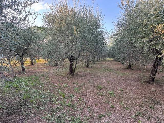 Terreno in vendita a San Donato, Santa Maria a Monte
