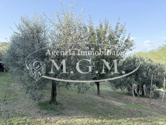 Terreno in vendita a Santa Maria A Monte, Toscana