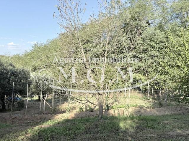 Terreno in vendita a Santa Maria A Monte, Toscana