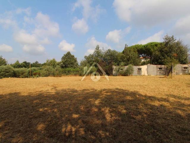 Terreno in vendita a Santa Maria A Monte, Toscana