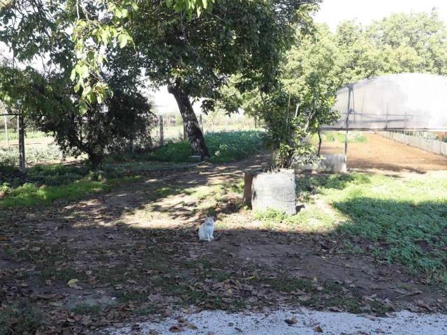 Terreno in vendita a Sant'Andrea dei Lagni, Santa Maria Capua