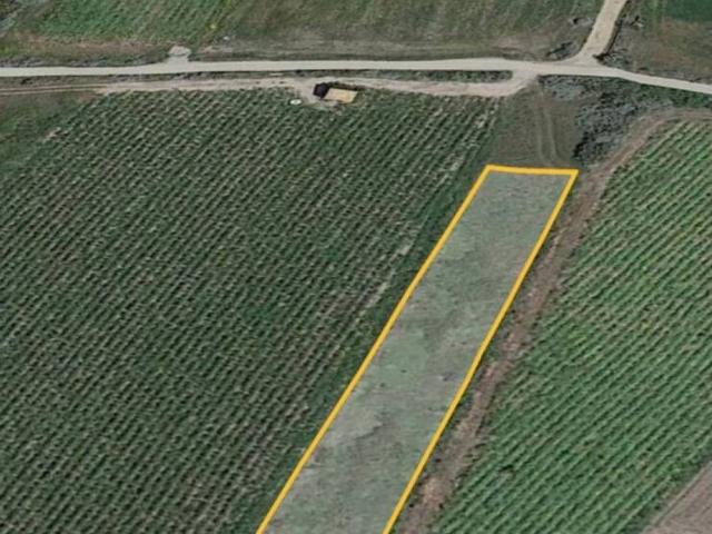 Terreno in vendita a Santa Maria Coghinas, Sardigna/Sardegna