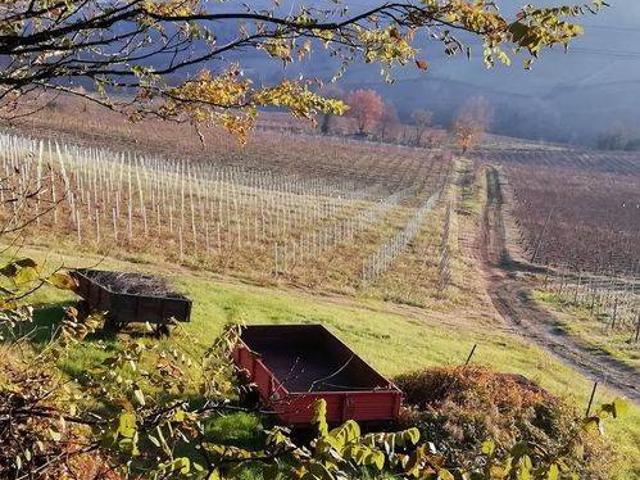 Terreno in vendita a Santa Maria Della Versa, Lombardia