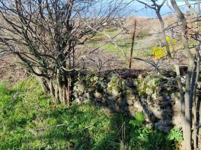 Terreno in vendita a Santa Maria Di Licodia, Sicilia
