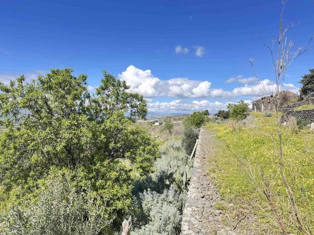 Terreno in vendita a Santa Maria Di Licodia, Sicilia