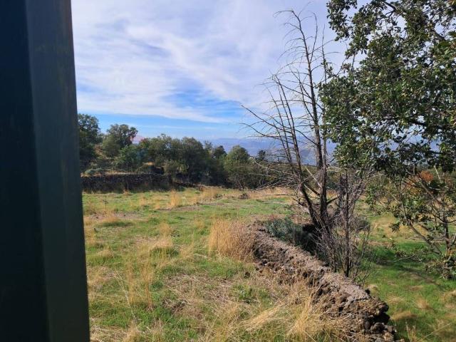 Terreno in vendita a Santa Maria Di Licodia, Sicilia