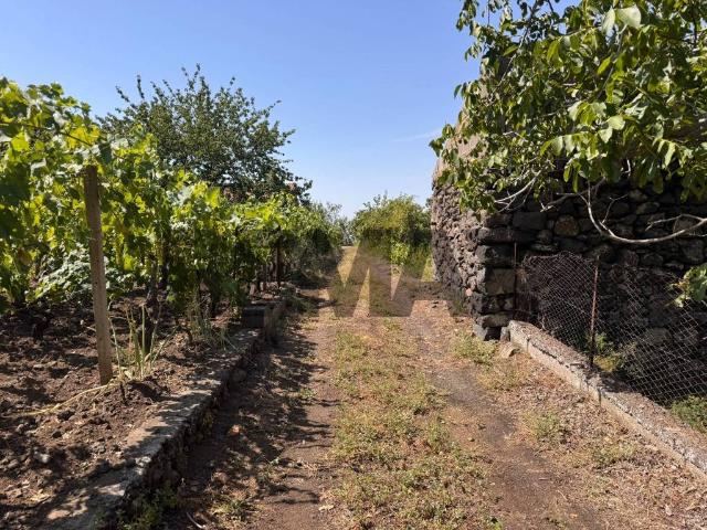 Terreno in vendita a Santa Maria di Licodia, Catania