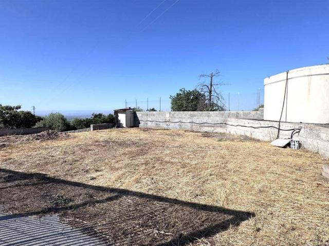 Terreno in vendita a Santa Maria Di Licodia, Sicilia