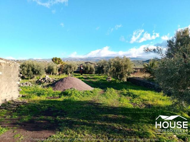 Terreno in vendita a Santa Maria Di Licodia, Sicilia
