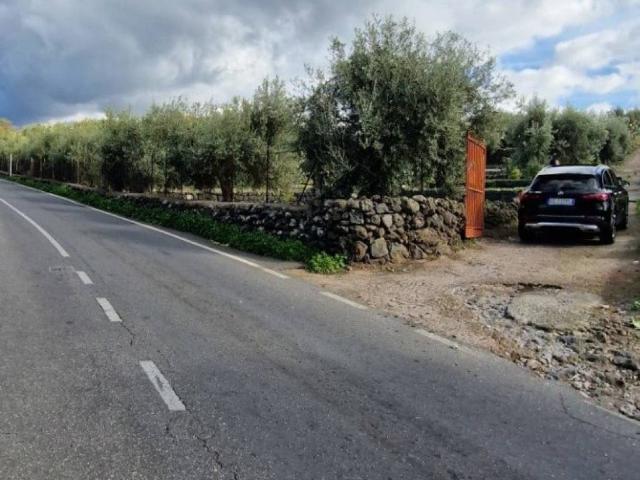 Terreno in vendita a Santa Maria Di Licodia, Sicilia