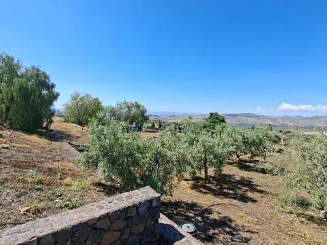Terreno in vendita a Santa Maria Di Licodia, Sicilia