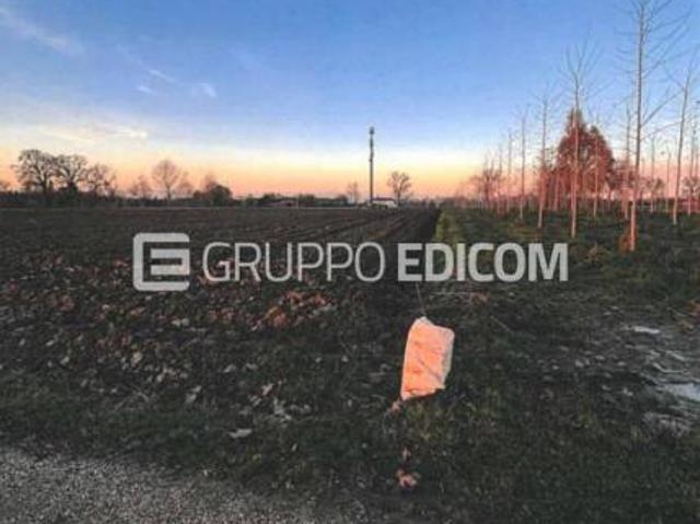 Terreno in vendita a Stigliano, Villanova Di Camposanpiero