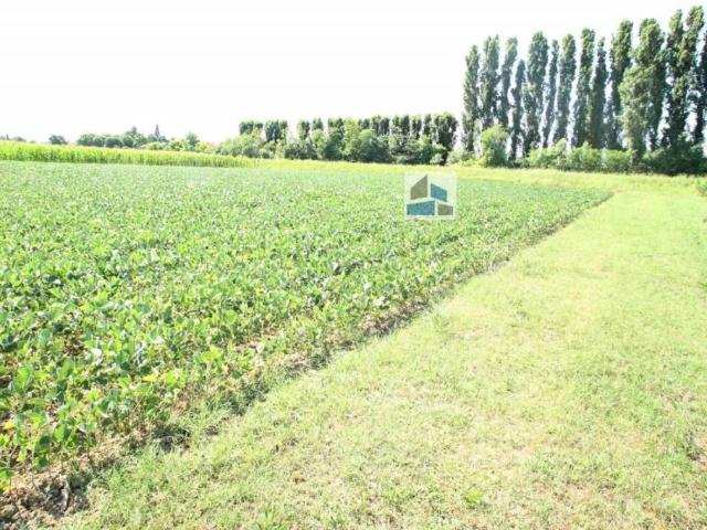 Terreno in vendita a Stigliano, Villanova Di Camposanpiero