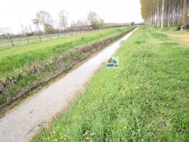 Terreno in vendita a Villanova Di Camposanpiero, Veneto