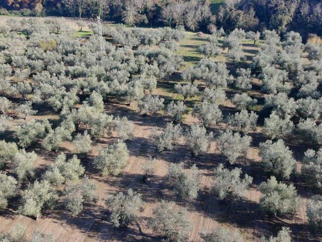 Terreno in vendita a Santa Maria Imbaro, Abruzzo