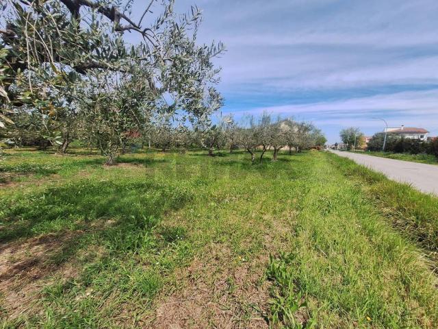 Terreno in vendita a Borgata Perilli, Santa Maria Imbaro